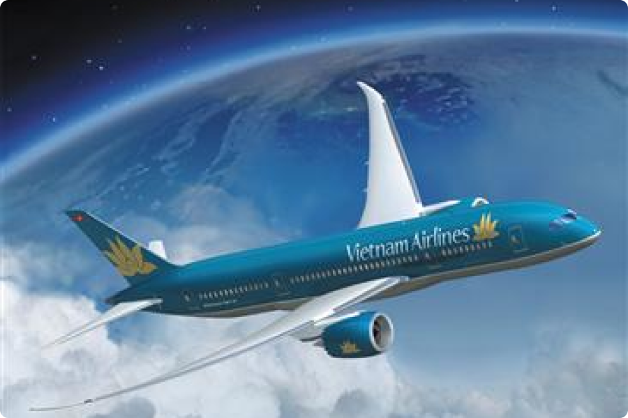 Vietnam flight ticket
